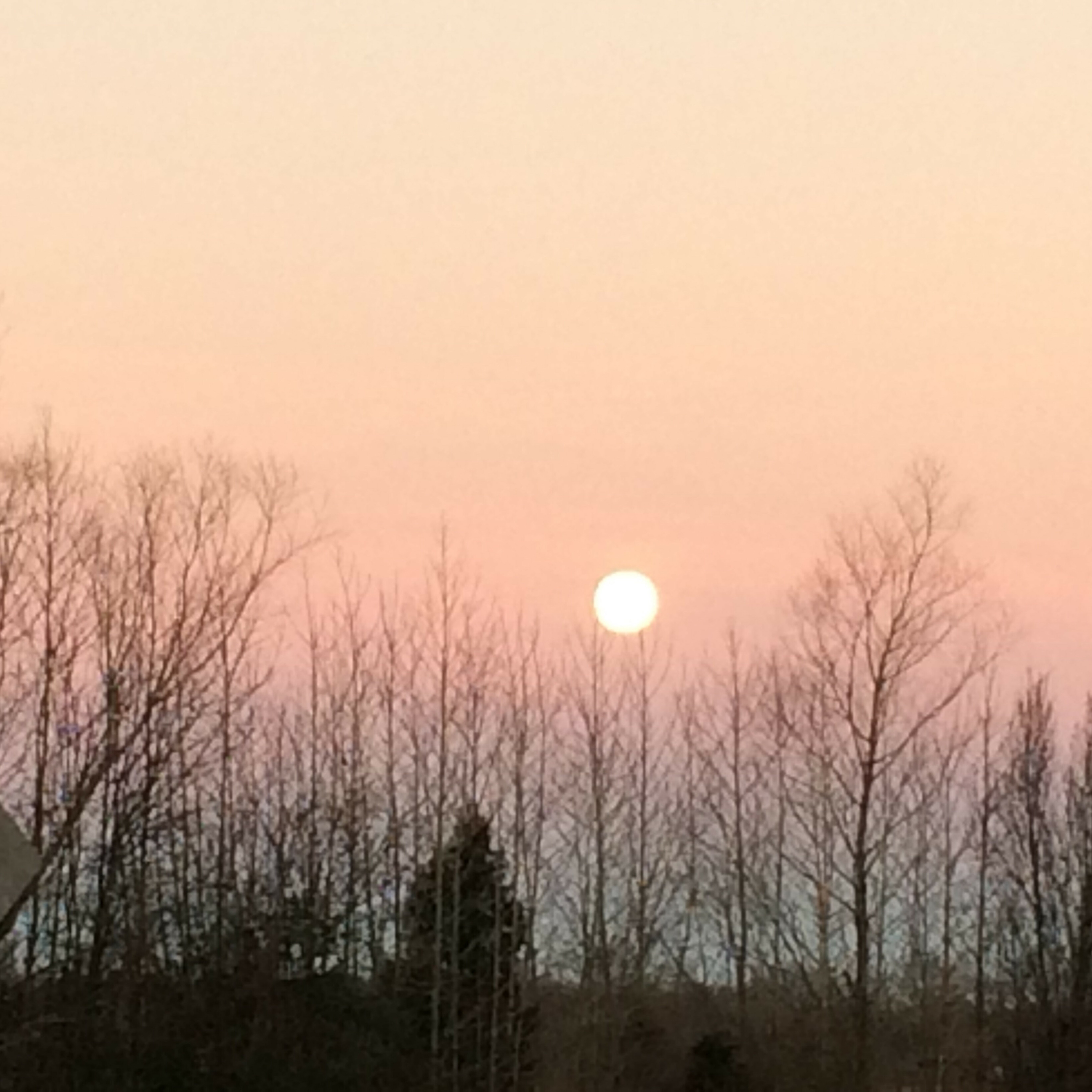 Full Moon Bonfire — October 26, 2024 - logo